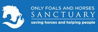 Only Foals and Horses Sanctuary